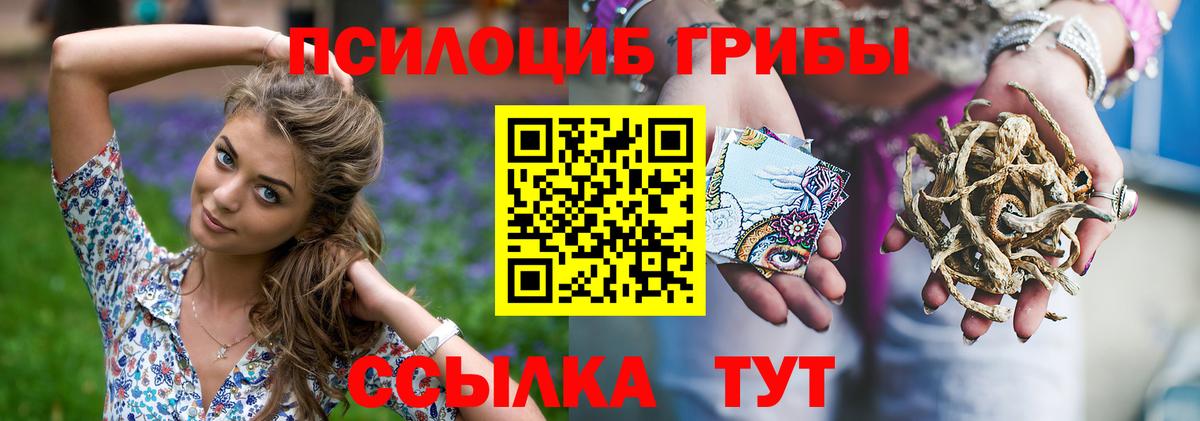 Галлюциногенные грибы GOLDEN TEACHER  Вход с VPN  Балтийск  Псилоцибиновые грибы Psilocybine cubensis 